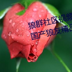 狼群社区视频资源网永(yǒng)久免费版:国产狼友精品91深夜福利(lì)播(bō)