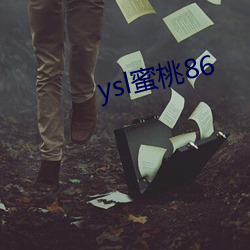 ysl蜜桃86 （忧戚）