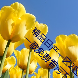 精品日产一区2区三区黄免费app观看版 v2.0:一款免费看污不