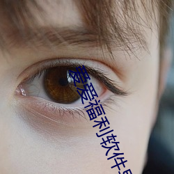 愛愛福利軟件導航