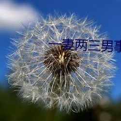 一(一)妻(妻)两(兩)三(三)男(男)事