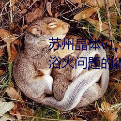 苏州(州)晶体(體)v1.72软件:一份轻松解决浴(浴)火问题(題)的(的)得(得)力助手