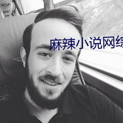 麻辣小說網綜排行榜