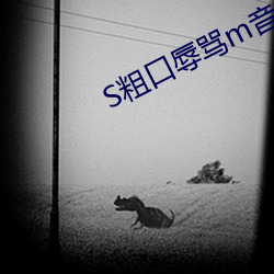 S粗口辱罵m音頻自慰專用