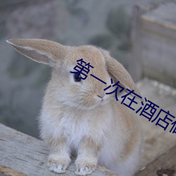 第一次在酒(酒)店做要垫(墊)东西吗