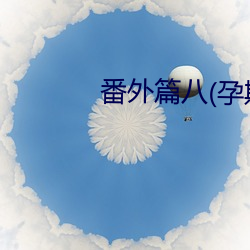 番外篇八(孕期器具H)