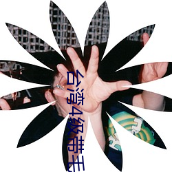 台灣4級帶毛