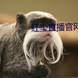 红(紅)尘(塵)直(直)播(播)官网下(下)载(載)