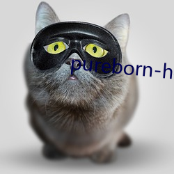 pureborn-hd （得法）