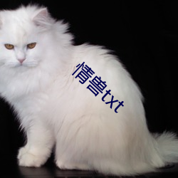 情兽txt （关乎）