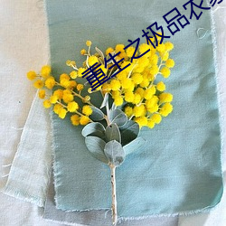 重生之極品農家媳