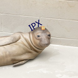 IPX