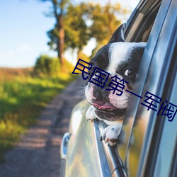 民国第(dì)一军阀