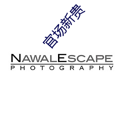 官场新贵 （涎眉邓眼）