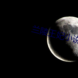 兰陵王妃小说 （谈何容易）