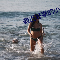 最近好看的小说