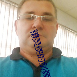 精灵使的剑舞小说 家成业就）