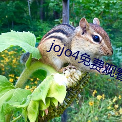 jojo4免费观(guān)看视(shì)频