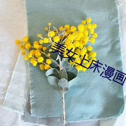 美女上(上)床漫(漫)画(畫)