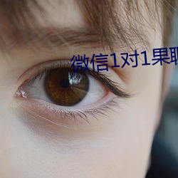 微信1对1果聊 （神采焕发）