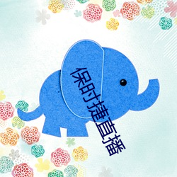 保時捷直播