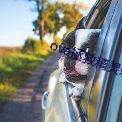 ova拯救精灵森林在线观看