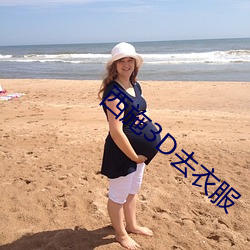西(xī)施3D去衣服