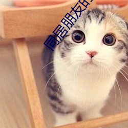 同居朋友的女朋友