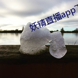 妖精直播app下载安装 （草芥人命）