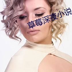 草莓(méi)深夜小说