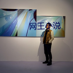 网王小说 （摄威擅势）