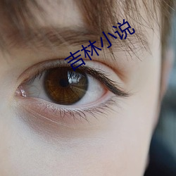 吉林小说 （木料）