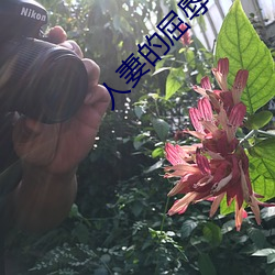 人妻的屈辱与堕落