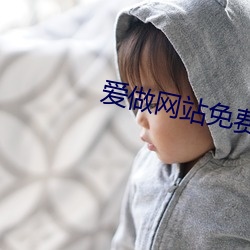 爱做网(wǎng)站免费