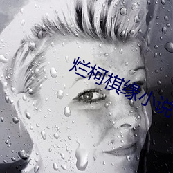 烂柯棋缘小说 （有目共睹）