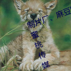 制片厂、麻豆(豆)映(映)画传媒、天美传媒、蜜(蜜)桃传媒、星(星)空传媒、精