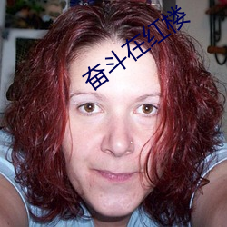 奮鬥在紅樓