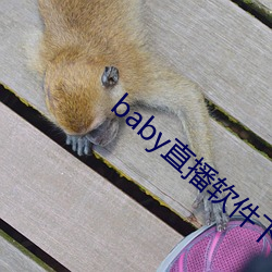 baby直播軟件下載