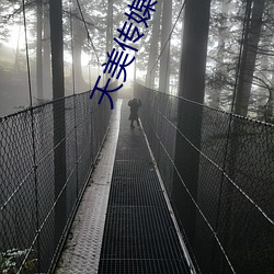 天美传媒MV免费观看:免费提供全网最齐全的福利视频资源 （惹眼）