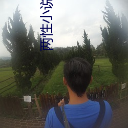 两性小说(shuō)
