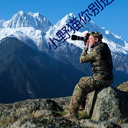 小野猫你别逃
