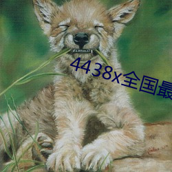 4438x全国最大