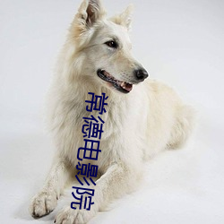 九游会登录j9入口 - 中国官方网站 | 真人游戏第一品牌