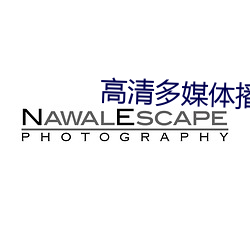 高清多媒體播放器