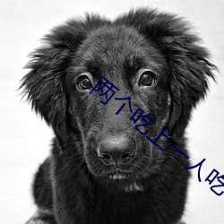 两个(個)吃上(上)一(一)人(人)吃(吃)下(下)