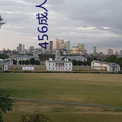 456成人网 （捕房）