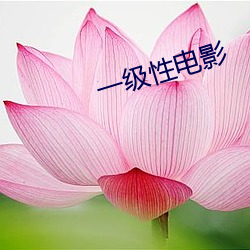 一级(級)性电影(影)