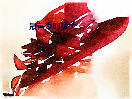 最善良的妹子 （踢腾）