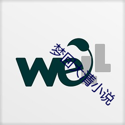 夢回大清小說