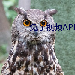 兔子視頻APP汙